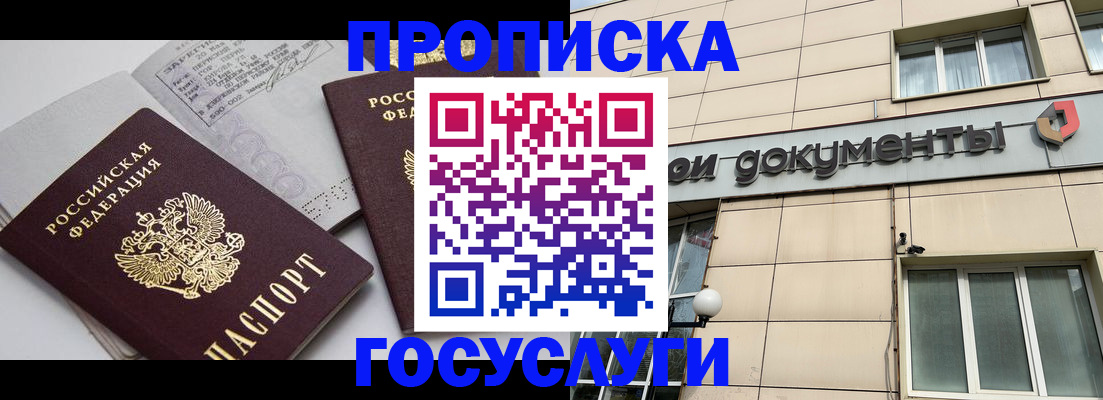 временная регистрация поиск в Палласовке